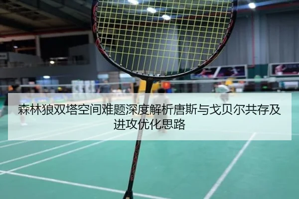 森林狼双塔空间难题深度解析唐斯与戈贝尔共存及进攻优化思路 - leyu