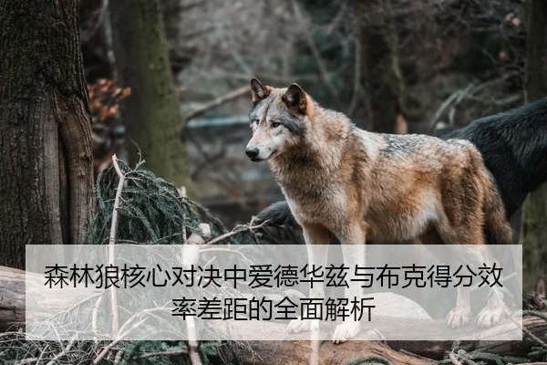 森林狼核心对决中爱德华兹与布克得分效率差距的全面解析